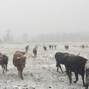 Meet your Posher, Jake